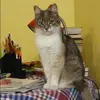 Отзыв от Валентина Фетисова